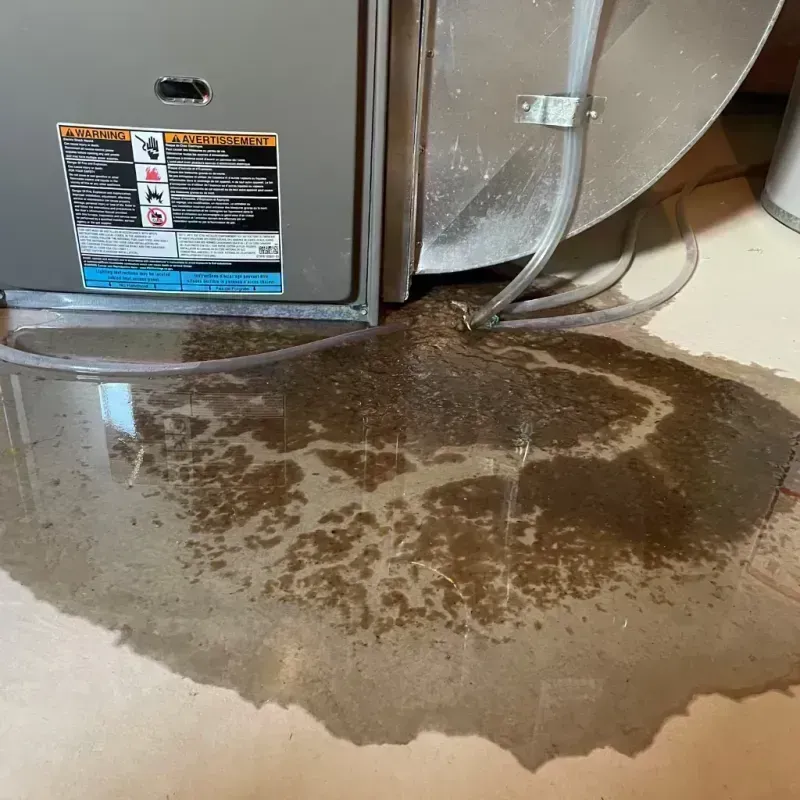 Appliance Leak Cleanup in Commerce, TX